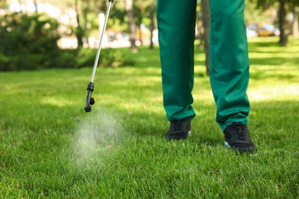 Best Flea Control Services  in Gardnertown, NY