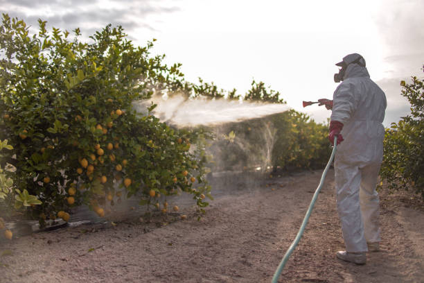 Best Local Pest Control Services  in Gardnertown, NY