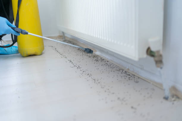 Best Mosquito Control Services  in Gardnertown, NY